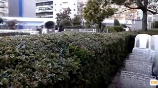 一级特黄毛片国产毛片 - 高清免费播放